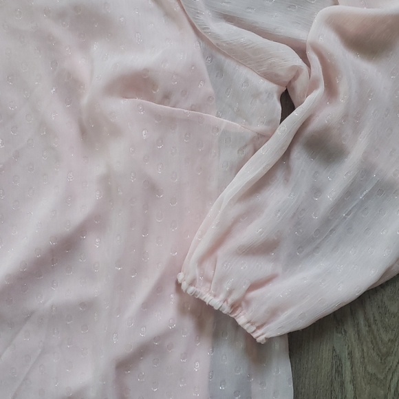 NWOT Sheer Blush Shimmer Blouse w/ Attached Cami - Picture 3 of 4